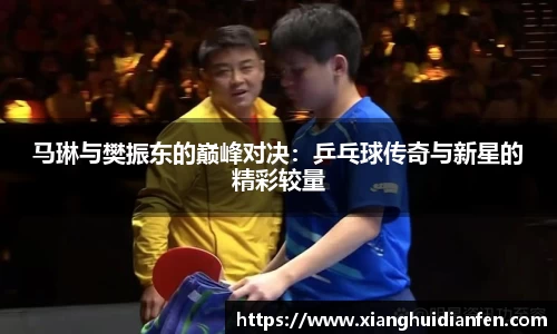 马琳与樊振东的巅峰对决：乒乓球传奇与新星的精彩较量