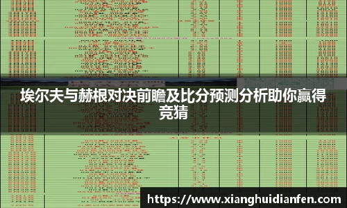 埃尔夫与赫根对决前瞻及比分预测分析助你赢得竞猜